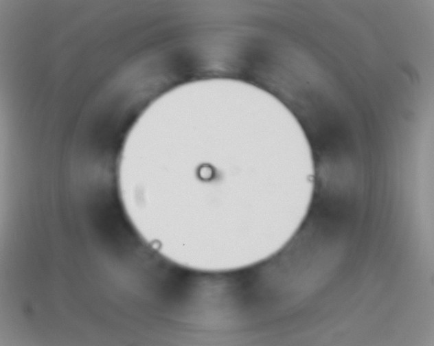 X0000114240423200910231528