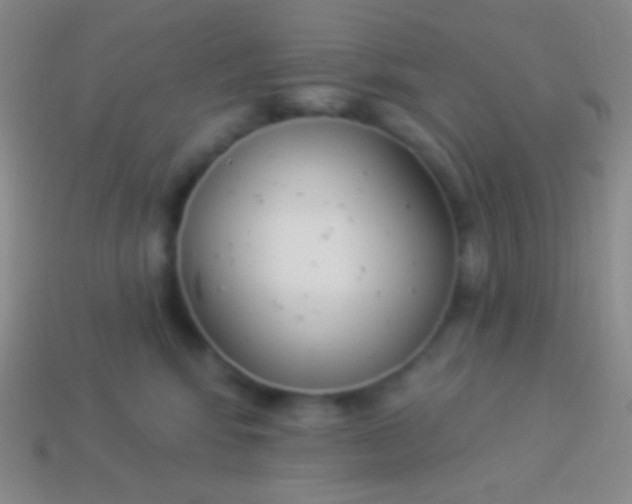 X0000114240424200910231528