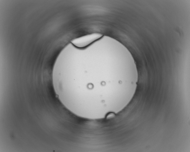 X0000114240425200910231528