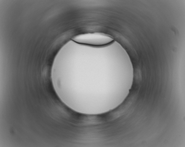 X0000114240428200910231528
