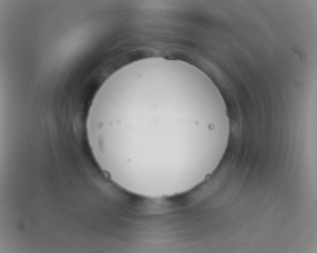 X0000114240429200910231528