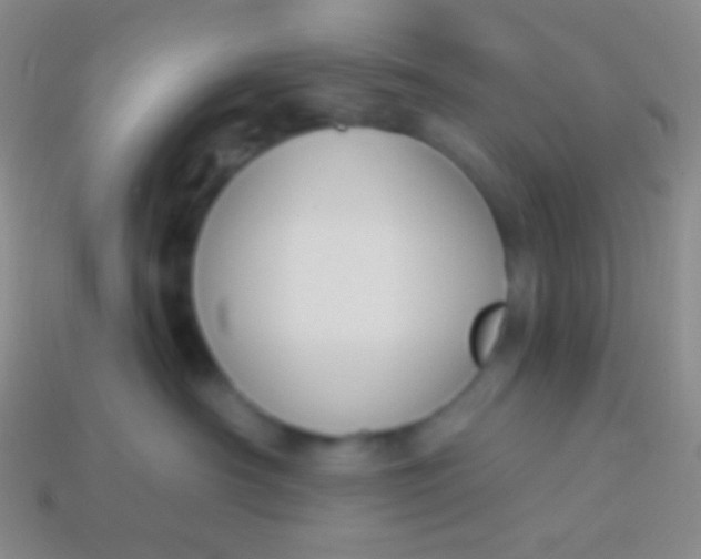 X0000114240430200910231528