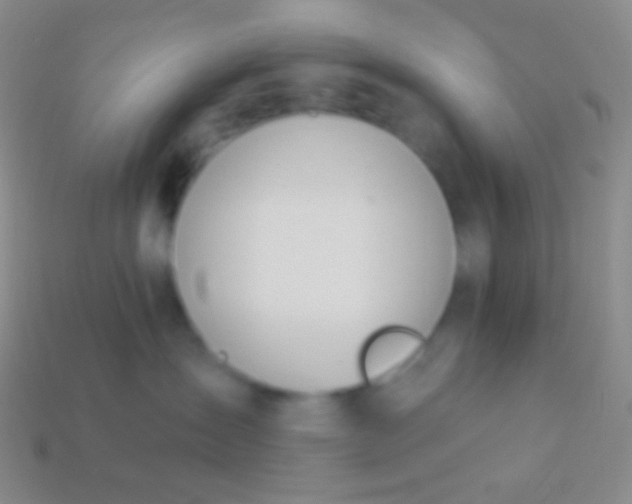 X0000114240431200910231528