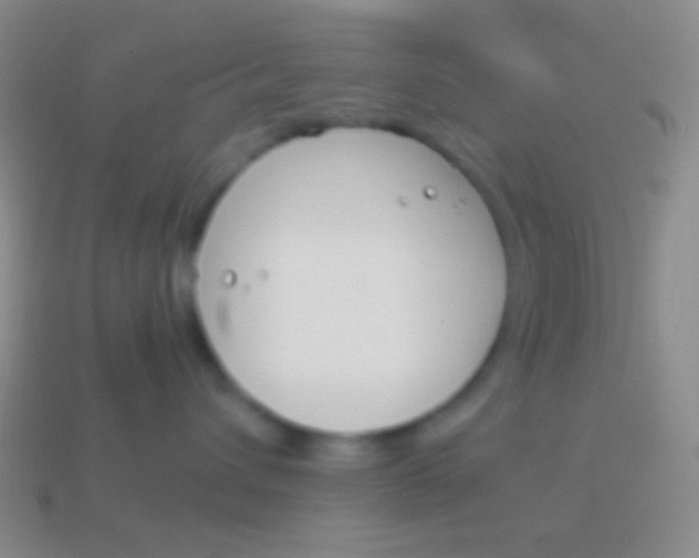 X0000114240432200910231528