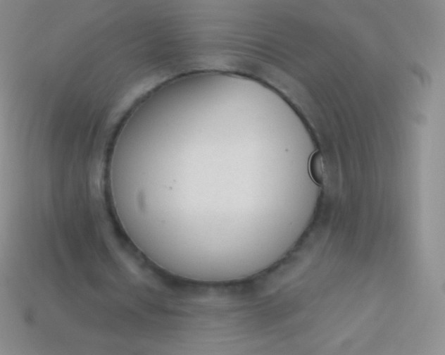 X0000114240434200910231527