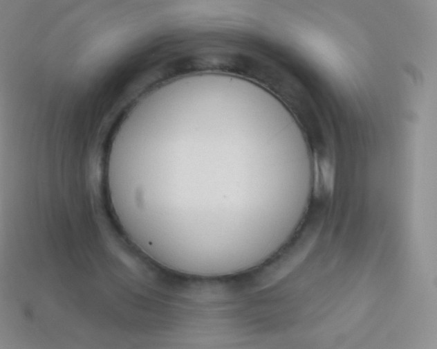 X0000114240435200910231527