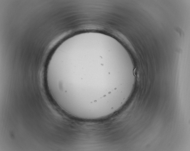 X0000114240436200910231527
