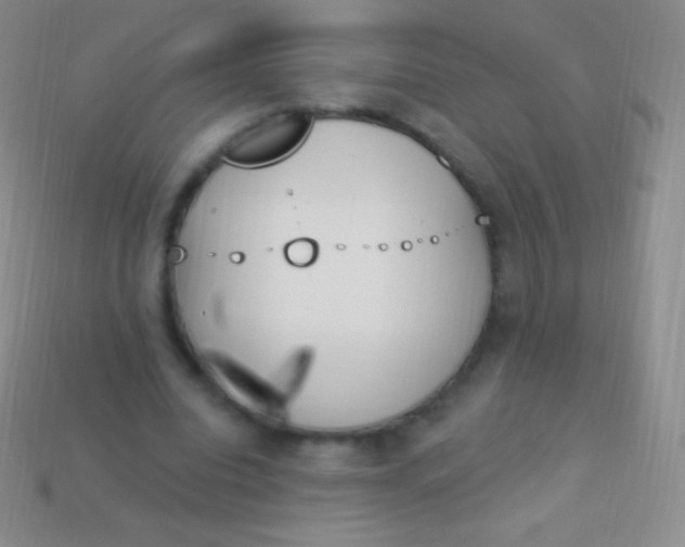 X0000114240440200910231527