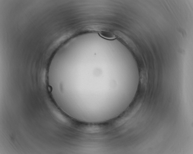 X0000114240445200910231527