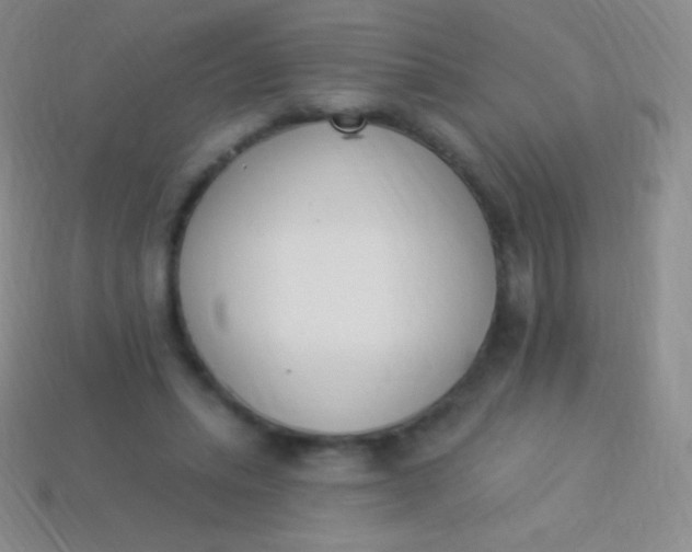 X0000114240447200910231527