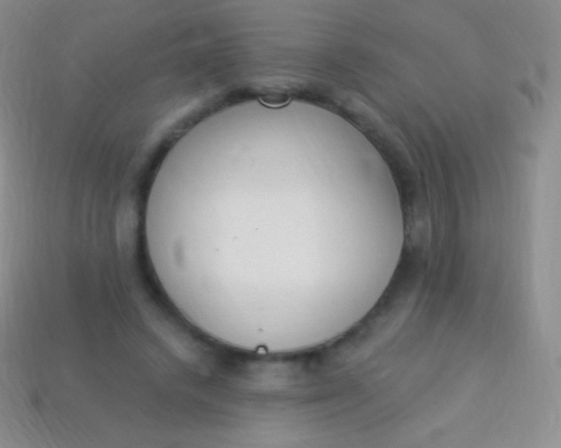 X0000114240448200910231527