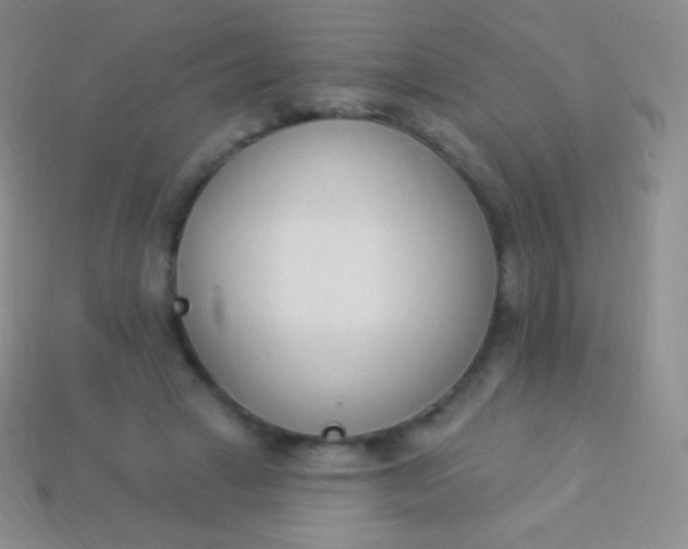X0000114240449200910231527