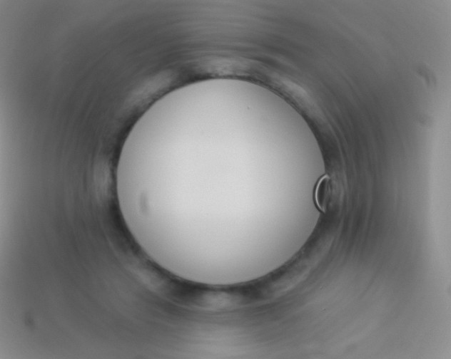 X0000114240453200910231527