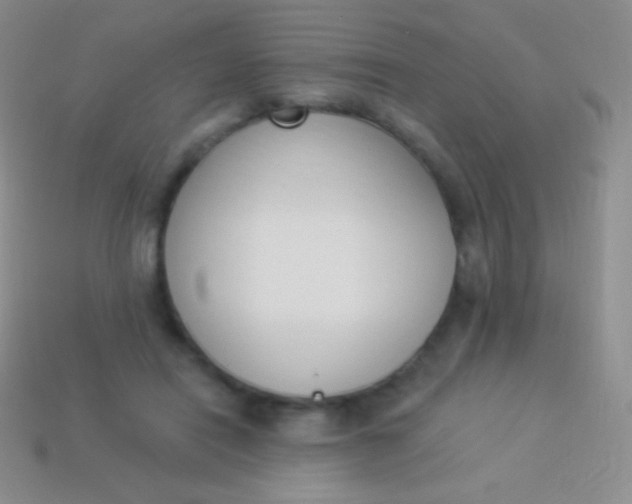 X0000114240454200910231527