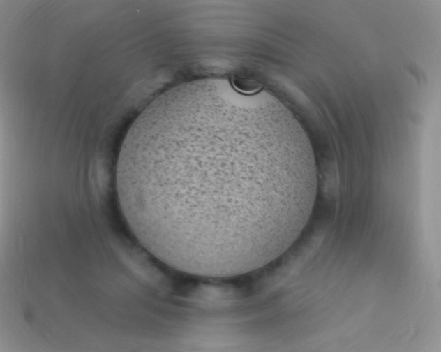 X0000114240455200910231527