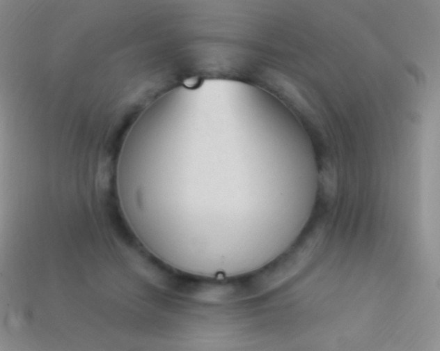 X0000114240458200910231527