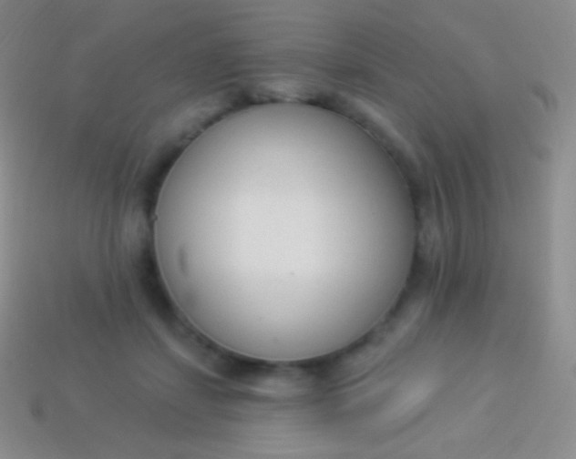 X0000114240459200910231527