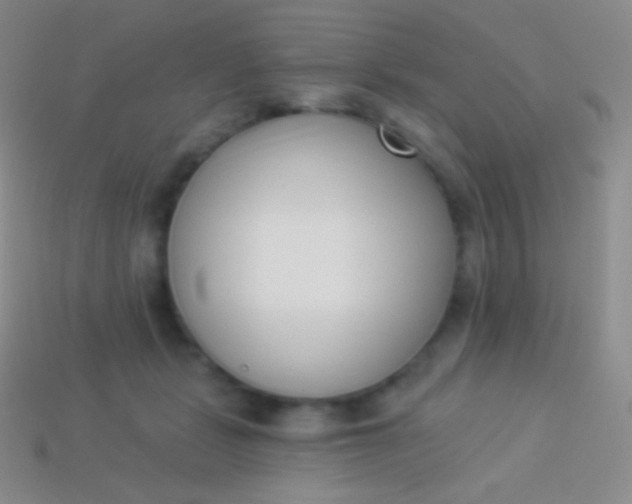 X0000114240461200910231527