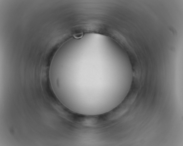 X0000114240462200910231527