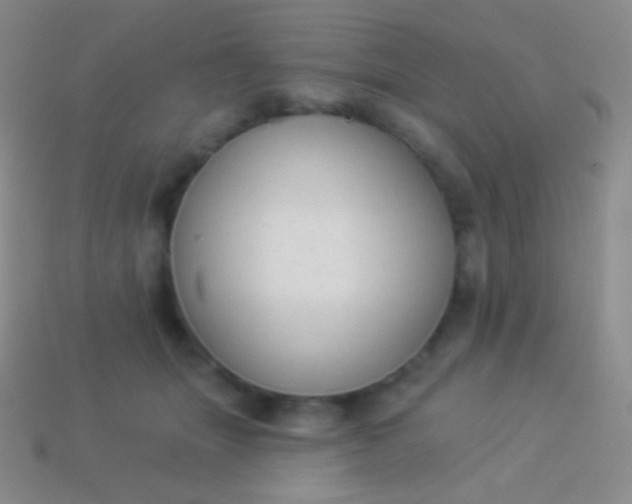 X0000114240463200910231527
