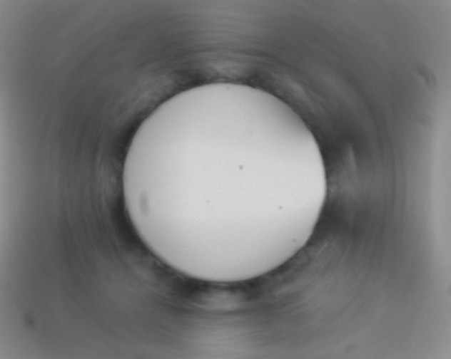 X0000114240464200910231527