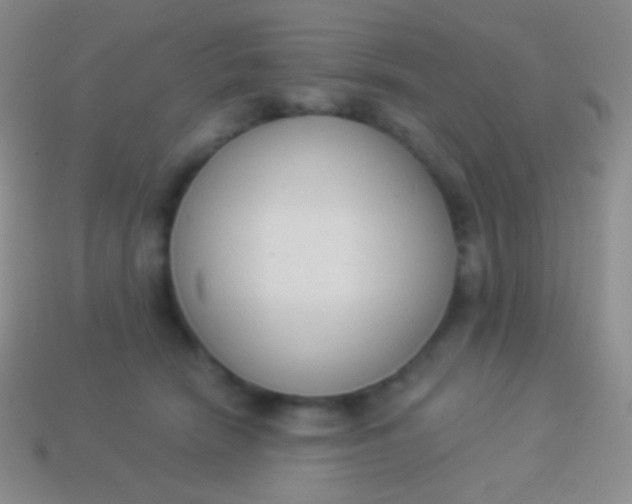 X0000114240466200910231527