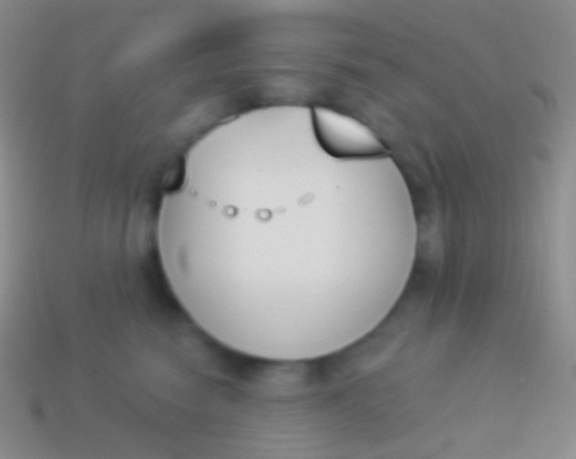 X0000114240474200910231528
