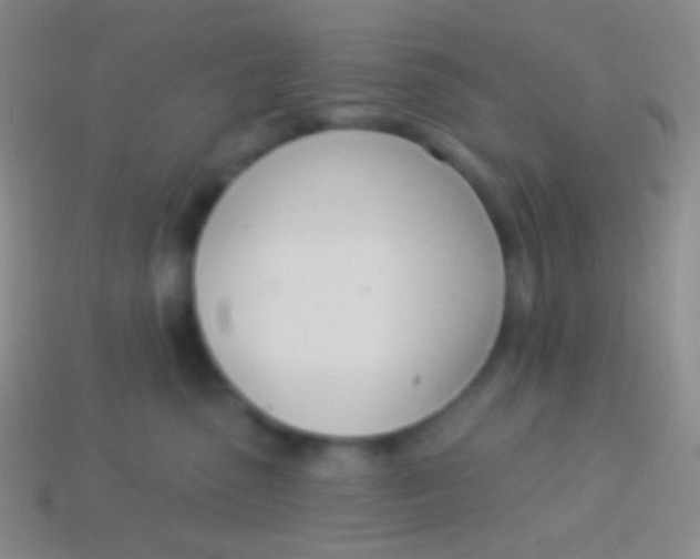 X0000114240475200910231528