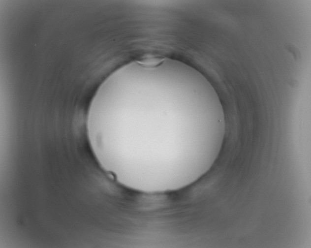 X0000114240480200910231528