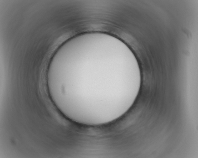 X0000114240481200910231527