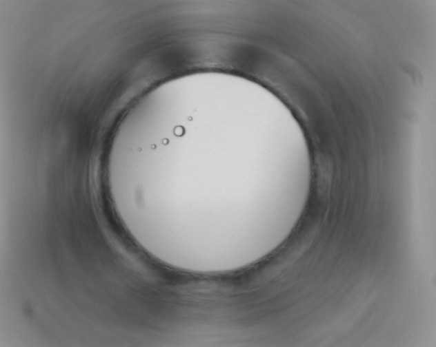 X0000114240482200910231527