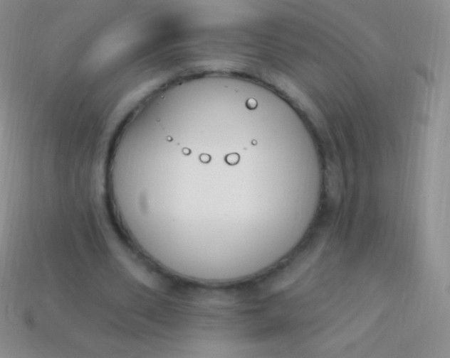 X0000114240486200910231527