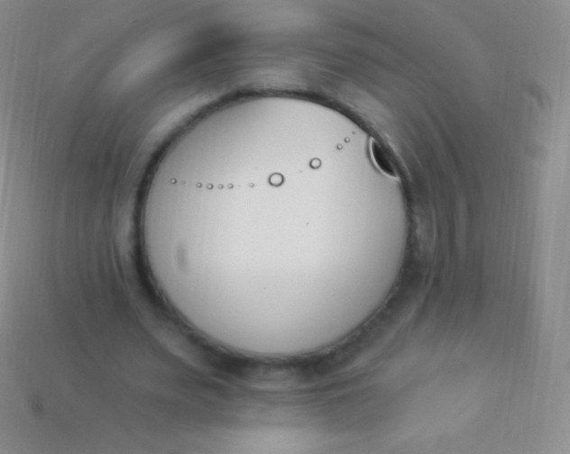 X0000114240487200910231527