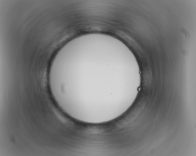 X0000114240489200910231527