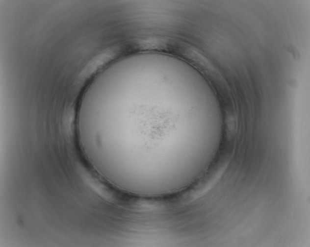 X0000114240490200910231527