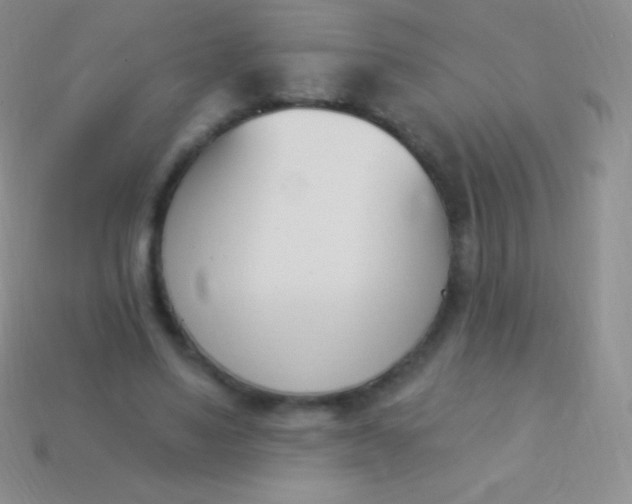 X0000114240491200910231527