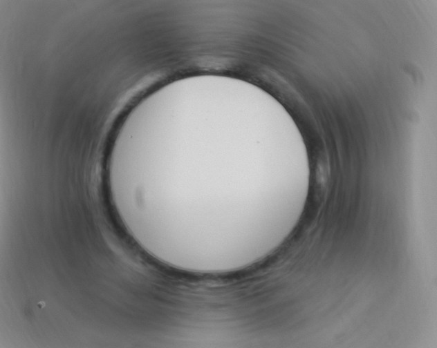 X0000114240492200910231527