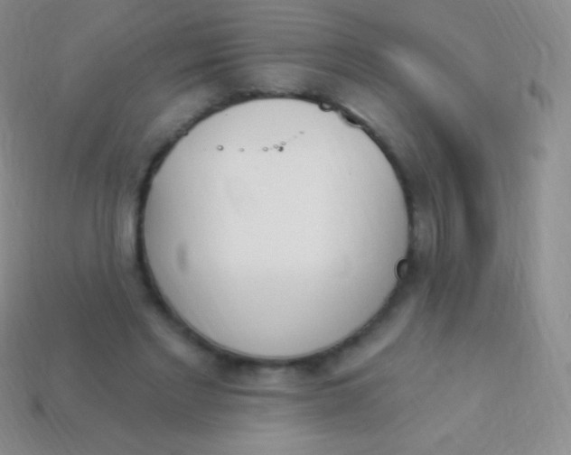 X0000114240493200910231527