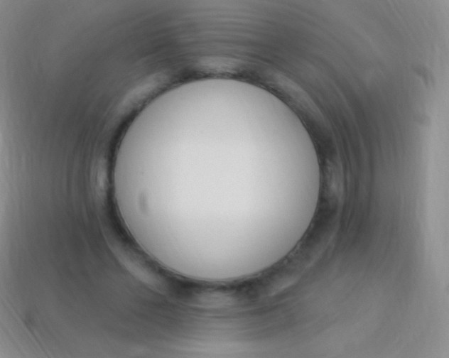 X0000114240494200910231527