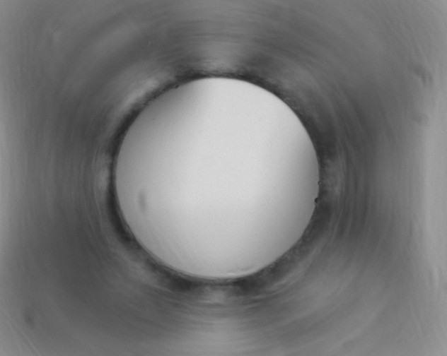 X0000114240495200910231527