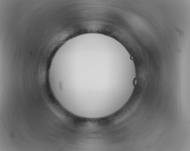 X0000114240496200910231527