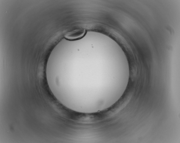 X0000114240497200910231527