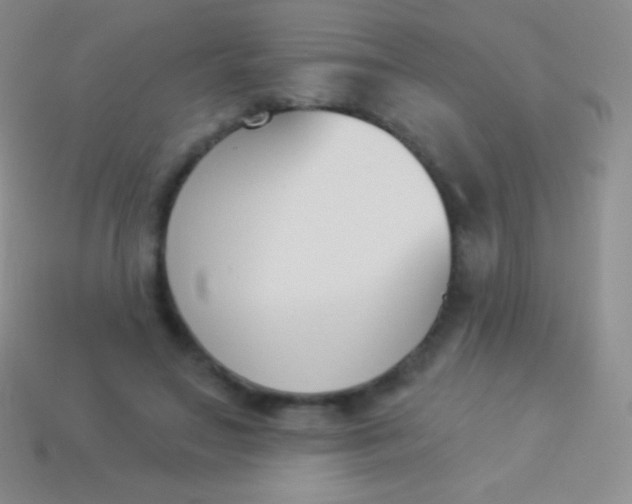 X0000114240499200910231527