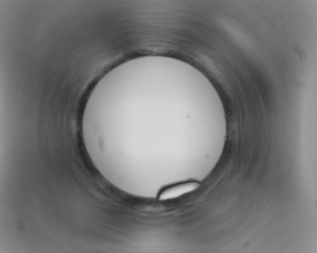 X0000114240500200910231527