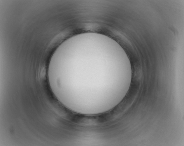 X0000114240502200910231527