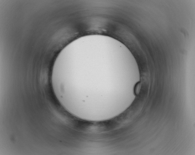 X0000114240504200910231527