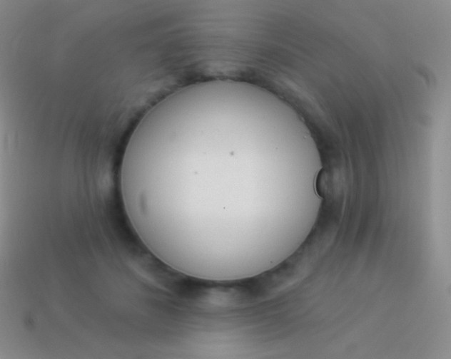 X0000114240508200910231527
