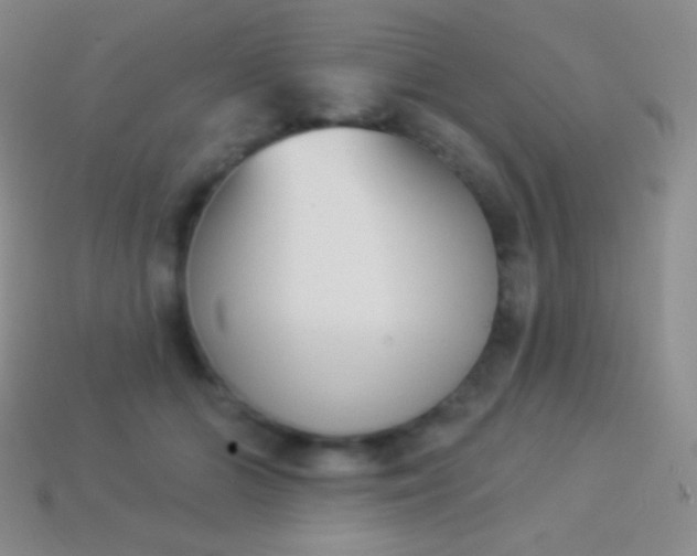 X0000114240510200910231527