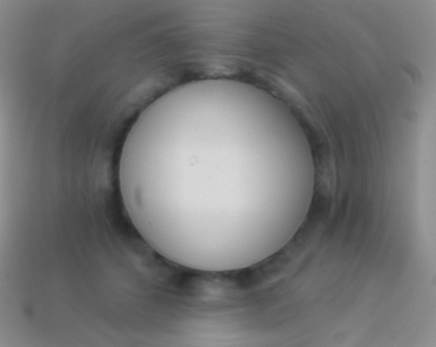 X0000114240512200910231527