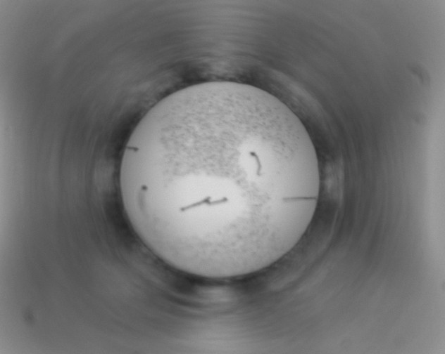 X0000114240514200910231527